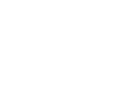 fleetguard